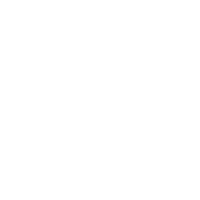 logo Secret Ball