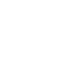 logo Stadion Śląski